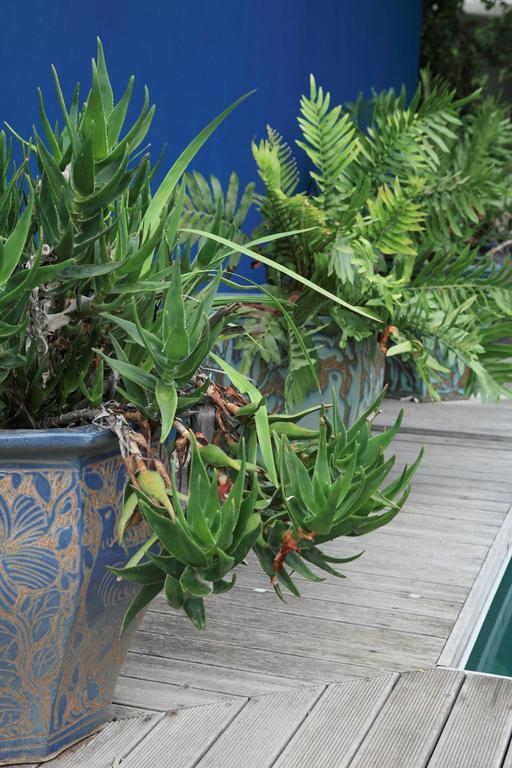 Starfish Guest Lodge Plettenberg Bay Exterior foto